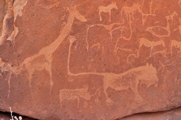 Fototapeta premium Petrograph of the famous lion with the kinked tail, Twyfelfontein, Namibia, Africa