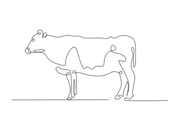 Cow in continuous one line drawing. Single line art draw of cow or bull. Editable vector.