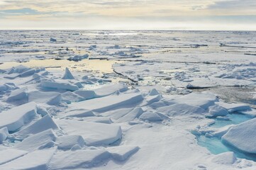 Pack ice at 81° North, Arctic Ocean, Spitsbergen Island, Svalbard Archipelago, Norway, Europe © G&M Therin-Weise/imageBROKER