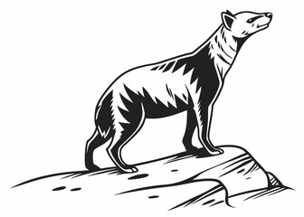 Hyena Standing on a Rock
