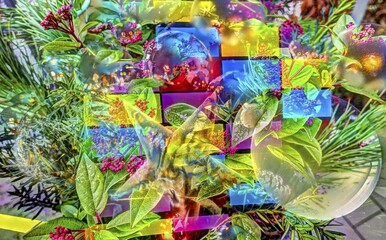 Coloured rectangles, colour blocking, Christmas motif, Christmas, Christmas festival, Advent season, Christmas baubles, decoration, Advent season, artistic shot, alienation, Christmas decoration, Christmas card motif, creative photography, all over, allover pattern, back Japanese fruit skimmia (skimmia japonica), evergreen perennial, red flowers, Christmas arrangement, pine cones, Germany, Europe