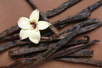 Aromatic vanilla sticks and flower on color background, closeup