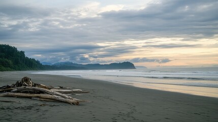 A peaceful beach with driftwood scattered on the sand and waves gently washing ashore under a cloudy, pastel-hued sky.
