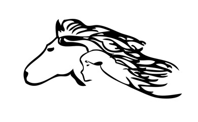 Horse's head, human head