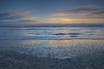 Sunset on the beach of the North Sea with seashells, Texel, North Holland, Netherlands