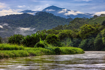 Costa Rica. Rio Grande de Tarcoles estuary area (mouth of the Tarcoles River) surrounded by rainforest and the southern slopes of the Cordillera Central volcanic range