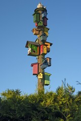 Many different coloured nesting boxes on a stake, Reppenstedt, Lower Saxony, Germany, Europe