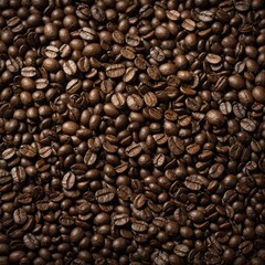 Fototapeta premium Explain the different types of coffee beans.