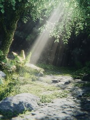 Serene Forest Sunlit Path