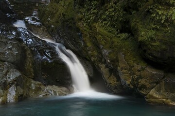 Waterfall in the green primeval forest, Routeburn Track, Southland, South Island, New Zealand, Oceania