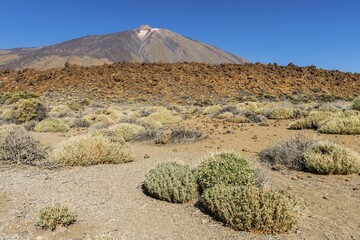 Mount Teide volcano, view from the Roques de Garcia, Teide National Park, Tenerife, Canary Islands,...