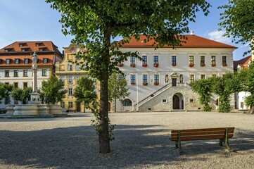 Fototapeta premium Zieglerhaus, Marien fountain, aristocratic town house Thurn- and Taxishaus, Town Hall, Karls square, Neuburg on the Danube, Upper Bavaria, Bavaria, Germany, Europe