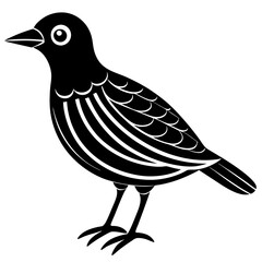 zibberbeak silhouette vector illustration 