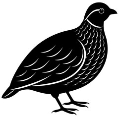 snibberquail silhouette vector illustration 