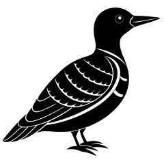 boofinbill silhouette vector illustration 