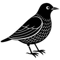 boofinbill silhouette vector illustration 