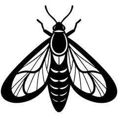 wibbermoth silhouette vector illustration 