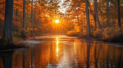Obraz premium Autumn sunrise over tranquil forest stream, reflecting golden light