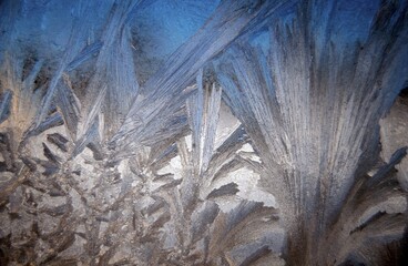 Frostwork on window, Germany, Europe