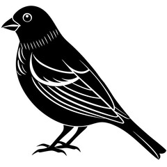 boggle-finch silhouette vector illustration