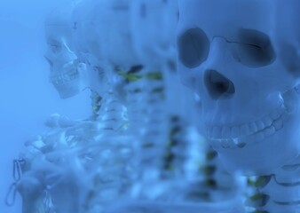 Skeletons and skulls in a row, grinning, deep eye sockets, skull at the front and back © bildbaendiger/imageBROKER