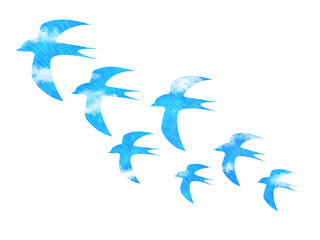 青空色の鳥(ツバメ)のシルエット