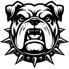 Tattoo of angry roaring Bulldog dog head in monochrome. Bulldog dog in spiked collar. Engraving minimalistic vector in black ink drawing on transparent background
