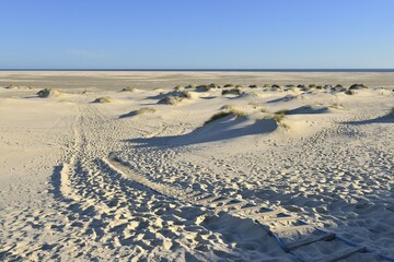 Dune crossing with footprints and Kniepsand to the horizon, Amrum, North Frisian island, North Frisia, Schleswig-Holstein, Germany, Europe