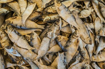 Dried fish at a market, Chinnamanur, Tamil Nadu, India, Asia