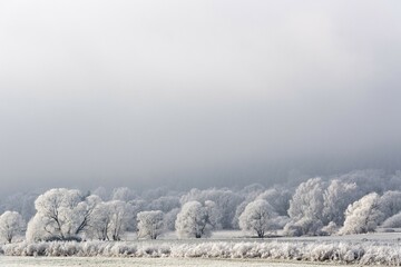 Winter landscape with hoarfrost, Guxhagen, North Hesse, Hesse, Germany, Europe