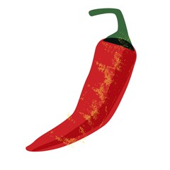 Organic red chili pepper, food illustration in vintage style