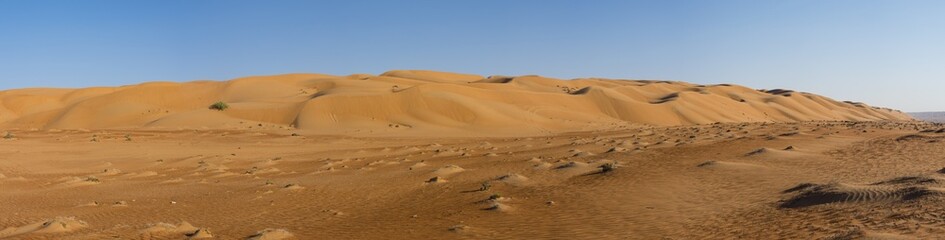 Sand dunes, desert, Sharqiya Sands or Wahiba Sands, Al Raka, Oman, Asia