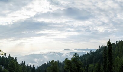 Misty forested mountains under a cloudy sky with a tranquil atmosphere