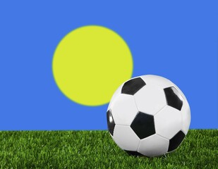 Fototapeta premium The Palau flag and soccer ball on the green grass