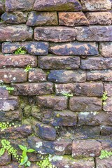 Old weathered brick wall with moss, detail, Mỹ Sơn, My Son, Temple City, Central Vietnam, Quang...