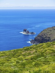 Cliffs, near Garafia, Punta del Puerto Viejo, La Palma, Canary Islands, Spain, Europe