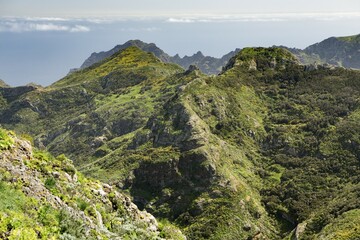 View of laurel forests and the the gorge of Chamorga, Tenerife, Canary Islands, Spain, Europe
