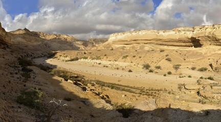 Limestone canyon of Wadi Shuwaymiyah, Dhofar, Oman, Asia