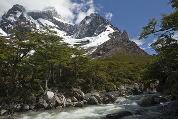 Glacial river in the French Valley, view of the snow-capped Cordilera Paine Grande mountain, Torres del Paine National Park, Magallanes Antarctica region, Patagonia, Chile, South America, America, South America