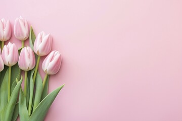 Pastel pink tulip spring flowers with copy space. KI generiert, generiert AI generated