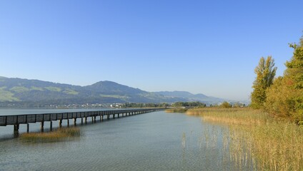 Naklejka premium Rapperswil - wooden bridge over the lake zurich - canton of St. Gallen, Switzerland, Europe., Europe
