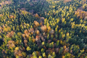 Fototapeta premium Drone shot, autumn colouring, mixed forest, Baden-Württemberg, Germany, Europe