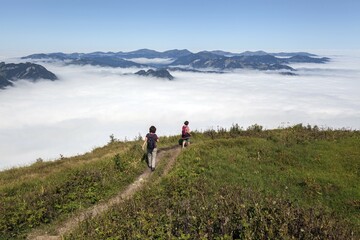 Hikers on hiking trail from Fellhorn to Schlappoldkopf, in the background fog over the Alpine foothills, near Oberstdorf, Oberallgäu, Allgäu, Bavaria, Germany, Europe