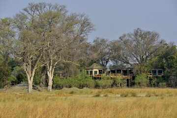 Obraz premium Chalets on stilts, Nambwa Lodge on the Kwando River, Bwabwata National Park, Zambezi Region, Caprivi Strip, Namibia, Africa