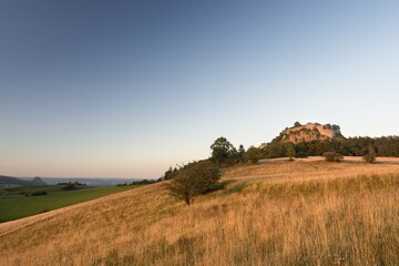 View of a rough pasture with the Hegau volcano in the evening light and the Hohentwiel ruins,...