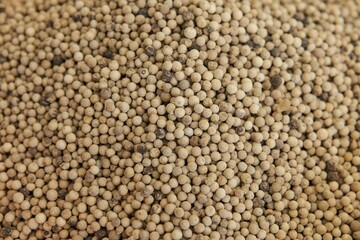 Peppercorns, white pepper, Bazaar of Antalya, Turkey, Asia