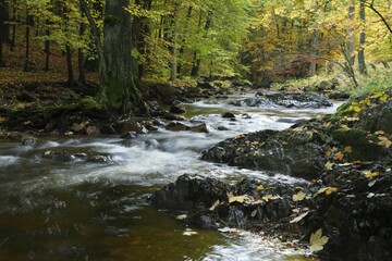 Bode river in the Elendstal valley, Harz, Saxony-Anhalt, Germany, Europe
