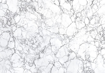 Clean and luxurious white marble texture featuring subtle natural veining, exuding elegance and simplicity. Smooth, bright surface makes it ideal for minimalist and sophisticated designs.