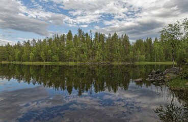 Mixed forest reflection in lake, Juuma, Finland, Europe