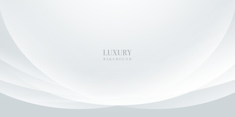 Elegant white and gray background with elegant flowing luxury curve. Vector Illustration Design
